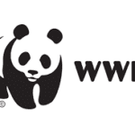 WWF: Ajira | Nafasi za kazi | Internship and Job Opportunities at World Wild Life (WWF) | WWF Jobs in Tanzania
