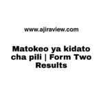 Matokeo ya kidato cha Pili 2022/2023 Form Two Results