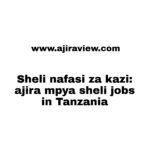 Sheli nafasi za kazi: ajira mpya sheli jobs in Tanzania 2023