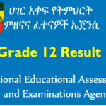 NEAEA Grade 12 University Placement Result