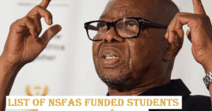 Download NSFAS Funded Students 2023