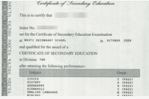 How To Get NECTA Certificate Of Secondary Education 2023 Updated