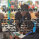 CBE Fees Structure | Ada Ya Chuo Cha CBE DODOMA 2023/2024 Updated