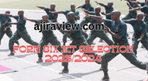 Form Six JKT Selection 2023/2024 Updated
