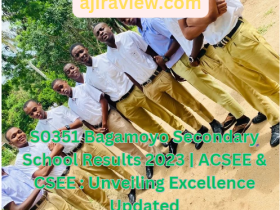 S0351 Bagamoyo Secondary School Results 2023 | ACSEE & CSEE : Unveiling Excellence Updated