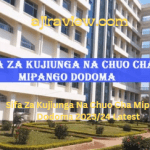 Sifa Za Kujiunga Na Chuo Cha Mipango Dodoma 2023/24 Latest